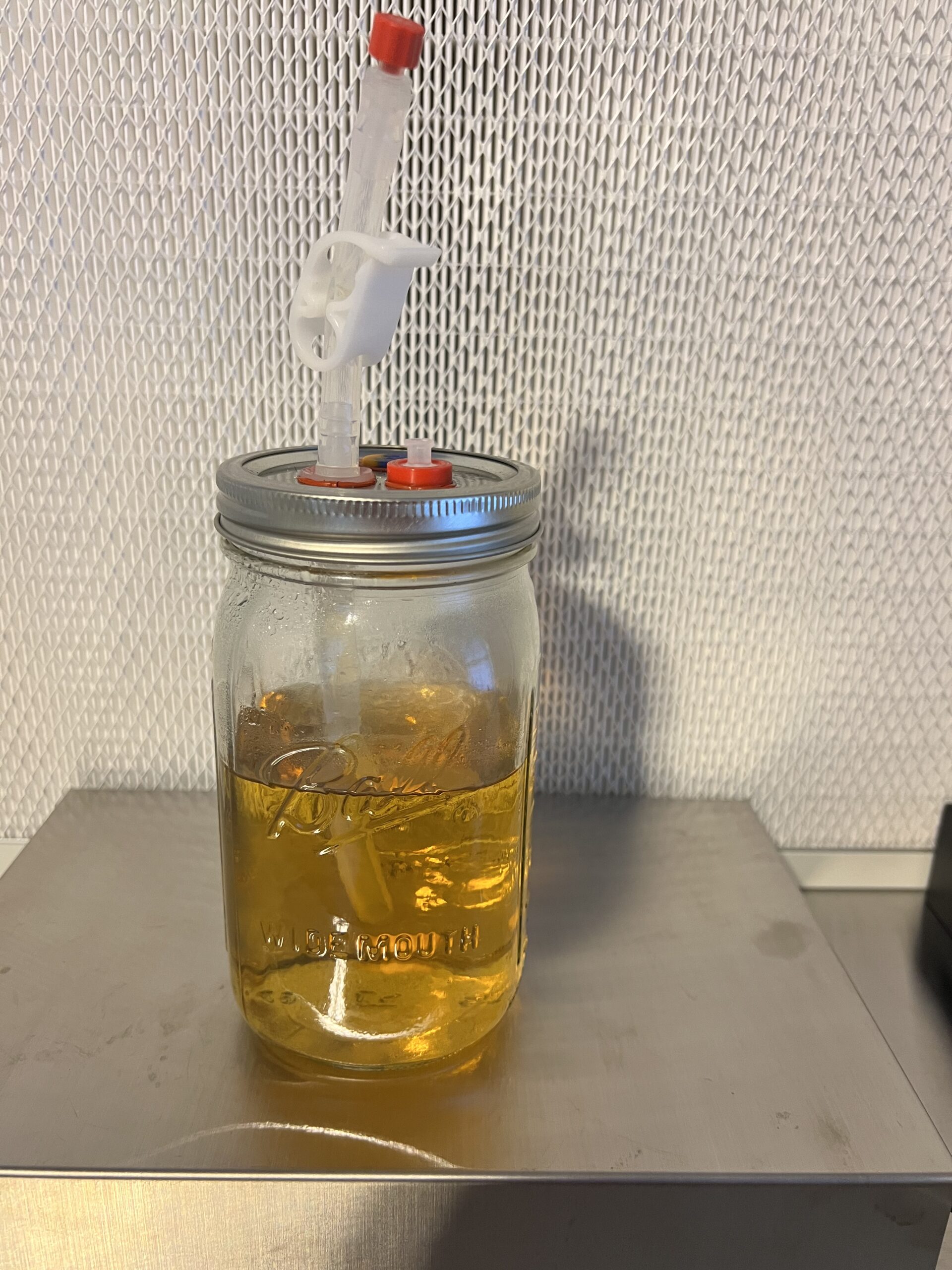 LME Liquid Culture Pre-Mix - 250ml