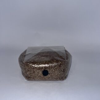 Rye Berries (12LB)