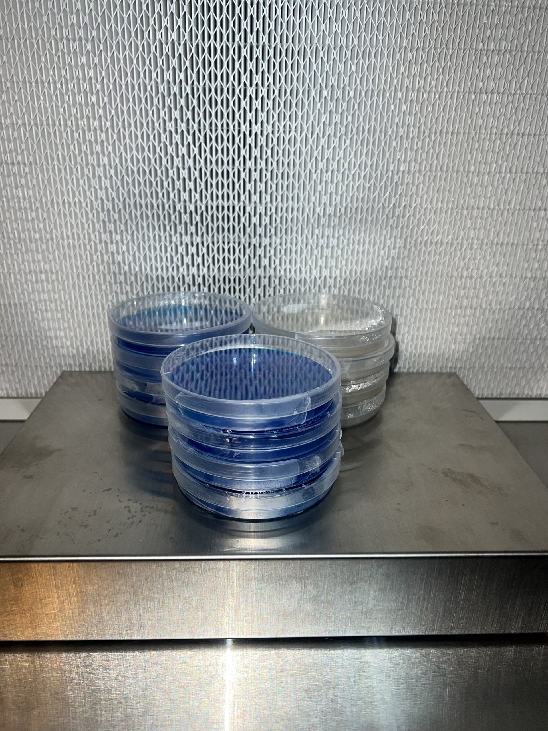 Pre-Poured Agar Plate(5pk) - Image 3