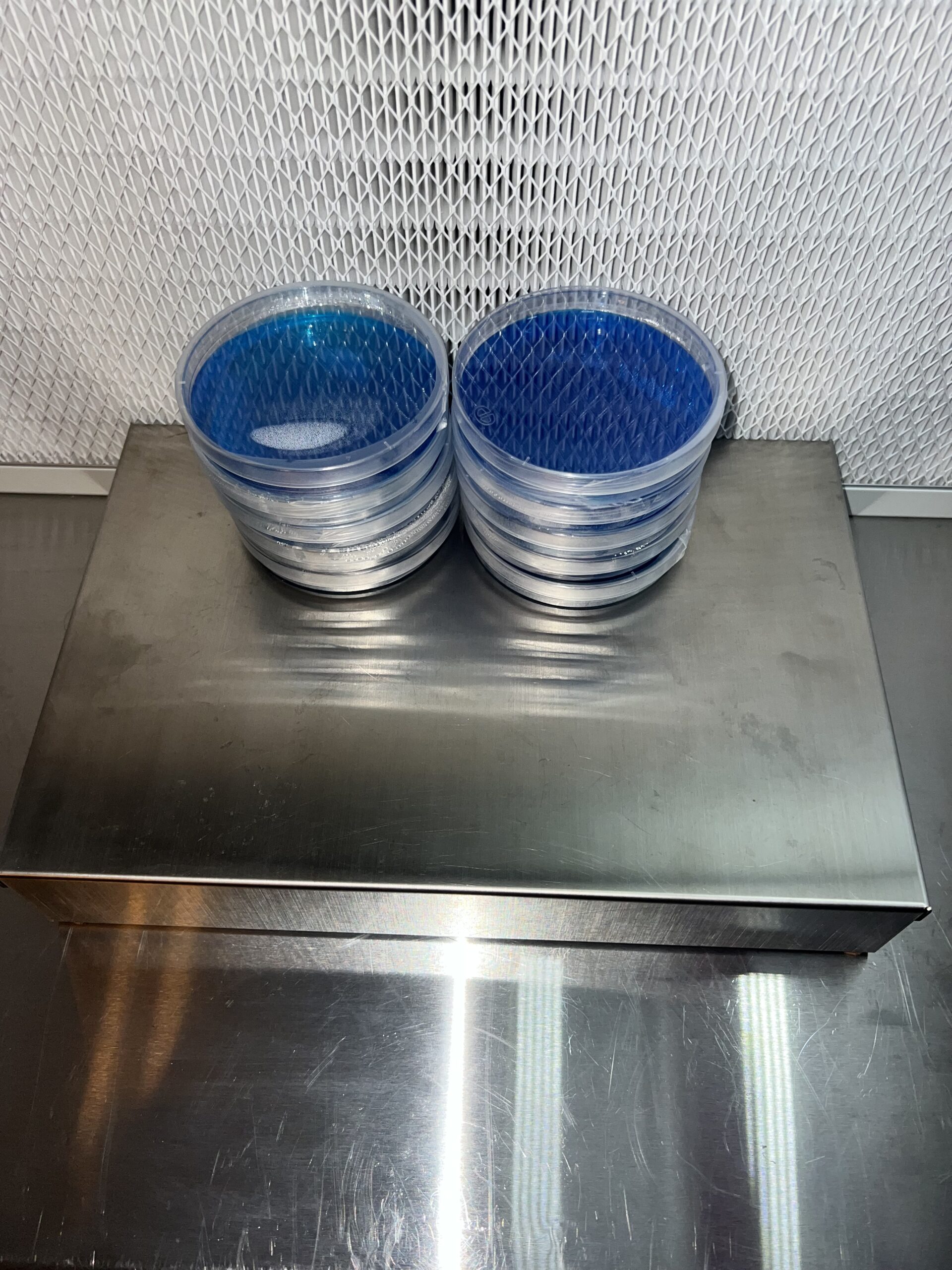 Pre-Poured Agar Plate(5pk) - Image 2