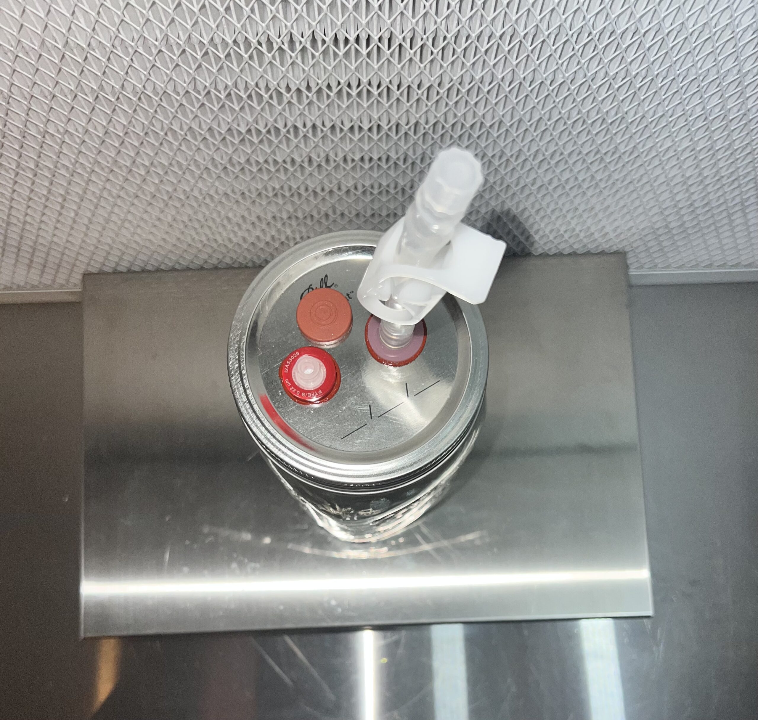 Injectable Liquid Culture lid (wide-mouth) - Image 3