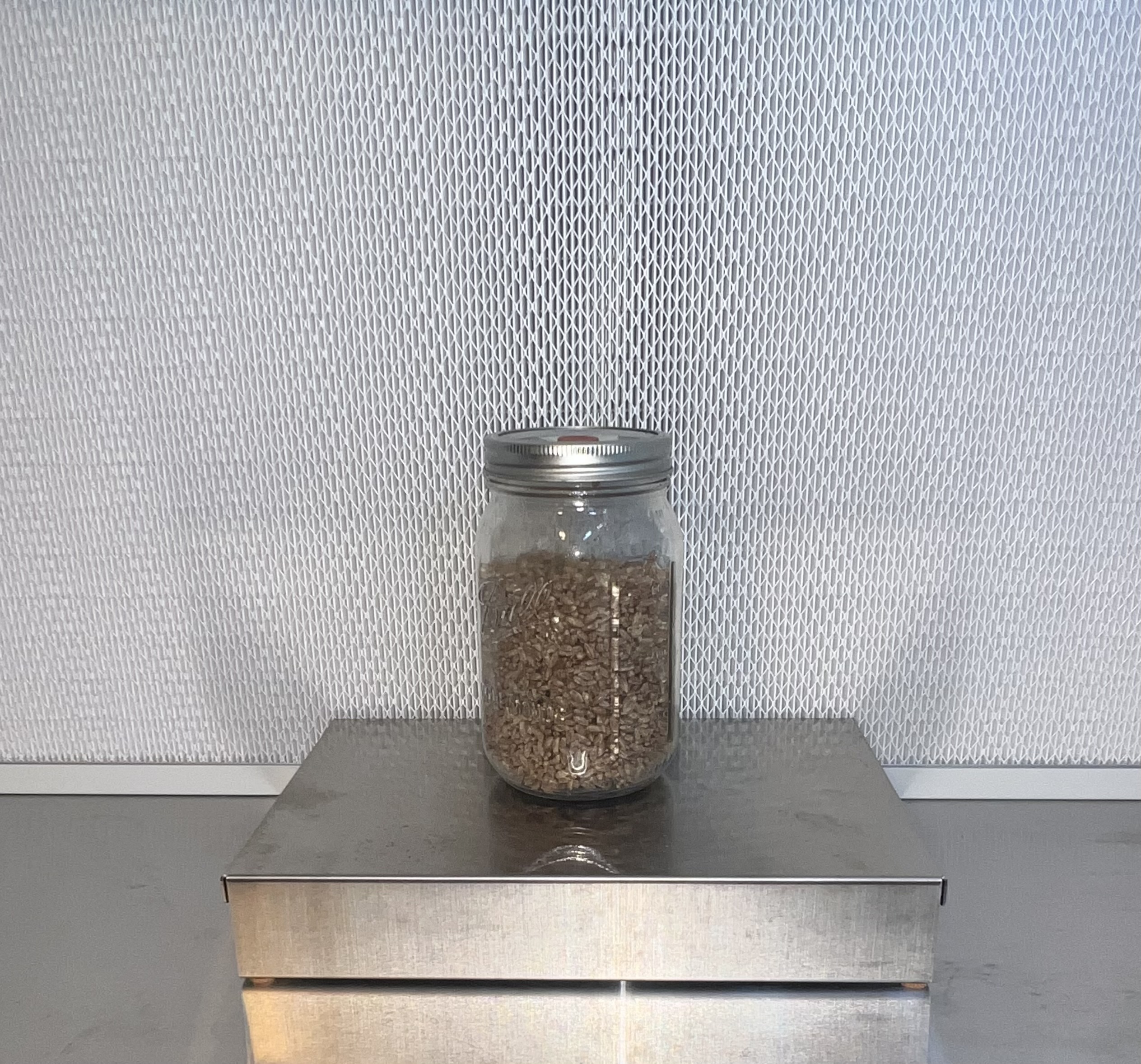 Injectable Spawn Lid - Image 2