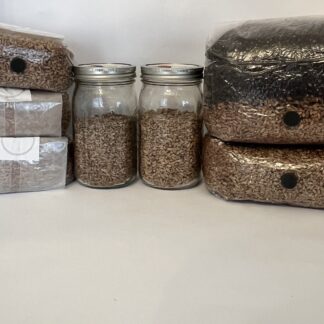 Grain Spawns